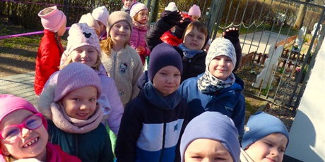 Powiększ grafikę: BAWIMY SIĘ W OGRODZIE