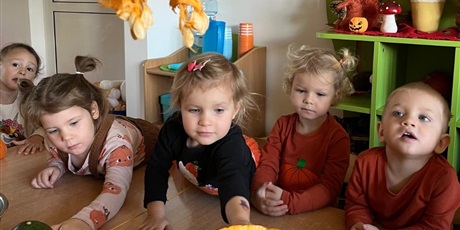 Powiększ grafikę: Dzień Dyni