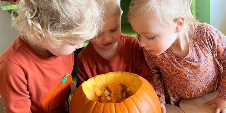 Powiększ grafikę: Dzień Dyni