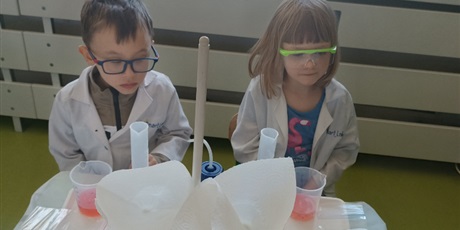 Powiększ grafikę: Dzień Eksperymentu "Laboratorium barwnych kryształów"