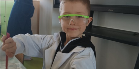 Powiększ grafikę: Dzień Eksperymentu "Laboratorium barwnych kryształów"