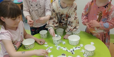 Powiększ grafikę: Dzień Kota