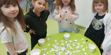 Powiększ grafikę: Dzień Kota