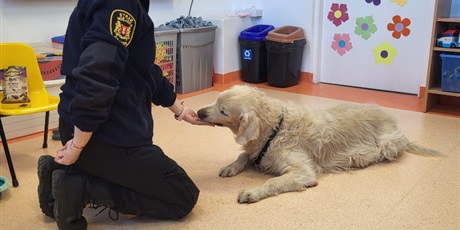 Powiększ grafikę: GR IX "BIEDRONKI