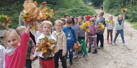 Powiększ grafikę: Jesienny spacer do lasu - październik 2026