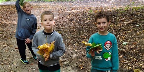 Powiększ grafikę: Jesienny spacer do lasu - październik 2026