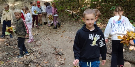 Powiększ grafikę: Jesienny spacer do lasu - październik 2026