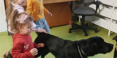 Powiększ grafikę: Międzynarodowy Dzień Osób z Niepełnosprawnościami  