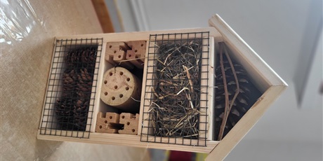 Powiększ grafikę: owady - warsztaty z rodzicami