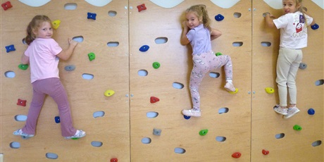 Powiększ grafikę: ŚCIANKA WSPINACZKOWA