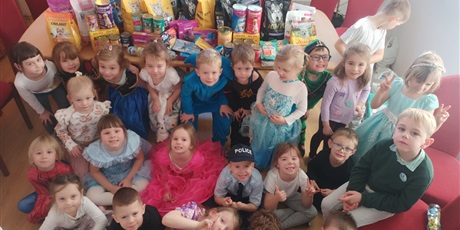 Powiększ grafikę: Sówki pomagają zwierzakom - zbiorka dla schroniska