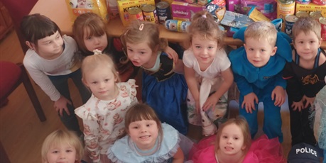 Powiększ grafikę: Sówki pomagają zwierzakom - zbiorka dla schroniska