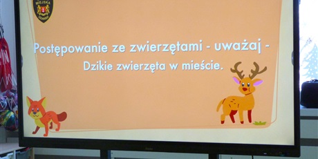 Powiększ grafikę: STRAŻ MIEJSKA