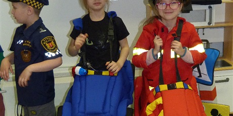 Powiększ grafikę: STRAŻ MIEJSKA - AUTOCHODZIK