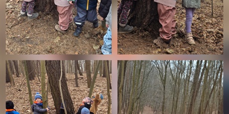 Powiększ grafikę: Wiosna 