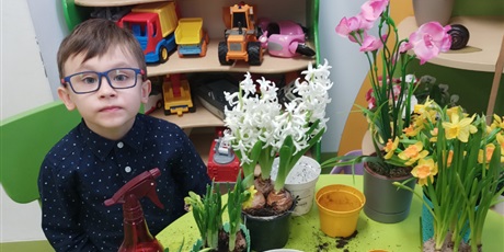 Powiększ grafikę: Wiosna w naszej sali