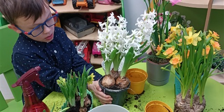 Powiększ grafikę: Wiosna w naszej sali