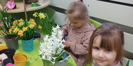 Powiększ grafikę: Wiosna w naszej sali