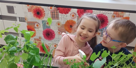 Powiększ grafikę: Wiosna w naszej sali